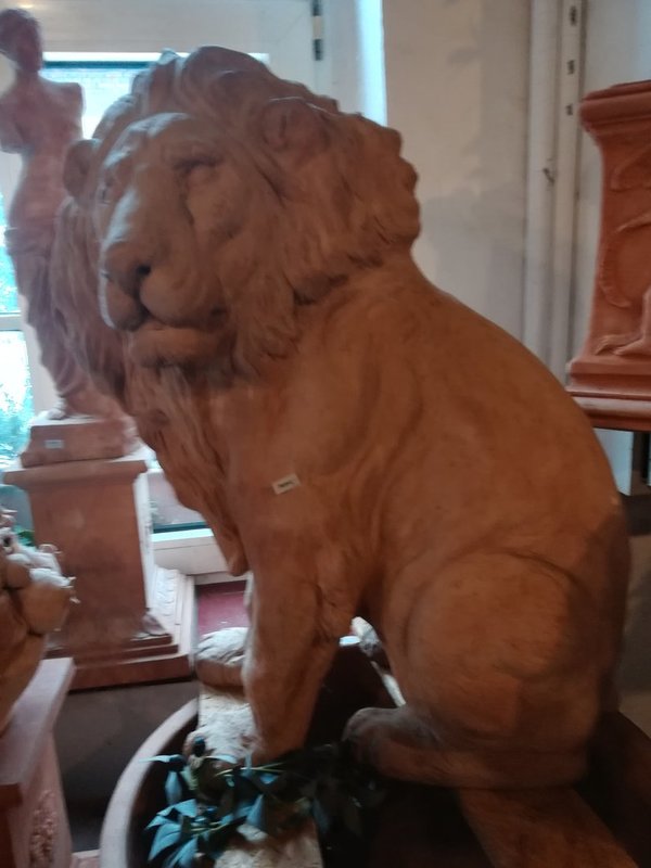 Leone gigante - großer Löwe