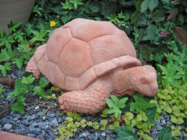 Terrakotta Schildkröte tartaruga grande